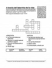 Through Lifes Maze Esp