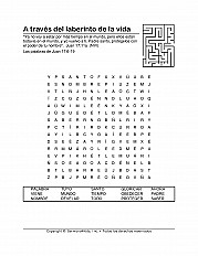 Through Lifes Maze Esp