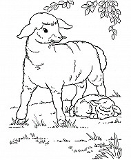 Sheep Without A Shepherd Esp