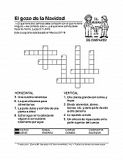 Joy Of Christmas Esp