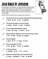 Jesus Weeps for Jerusalem