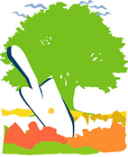 The Parable of the Mustard Seed