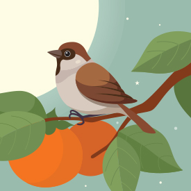 God Cares for Ishmael