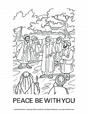 Snapshot Lower Elementary Handout