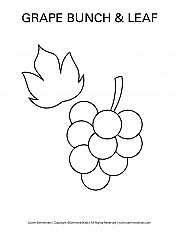 Grape Bunch Leaf - Lower Elementary Handout