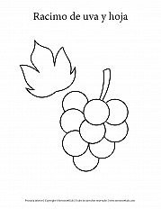 Racimo de uva y hoja - Primaria inferior hoja de actividad