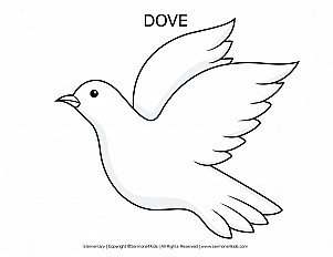 Dove - Elementary Handout
