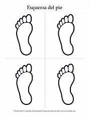 Esquema del pie - Primaria inferior - Hoja de actividad