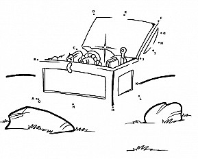 Treasure in the Field