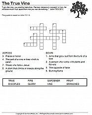 The True Vine