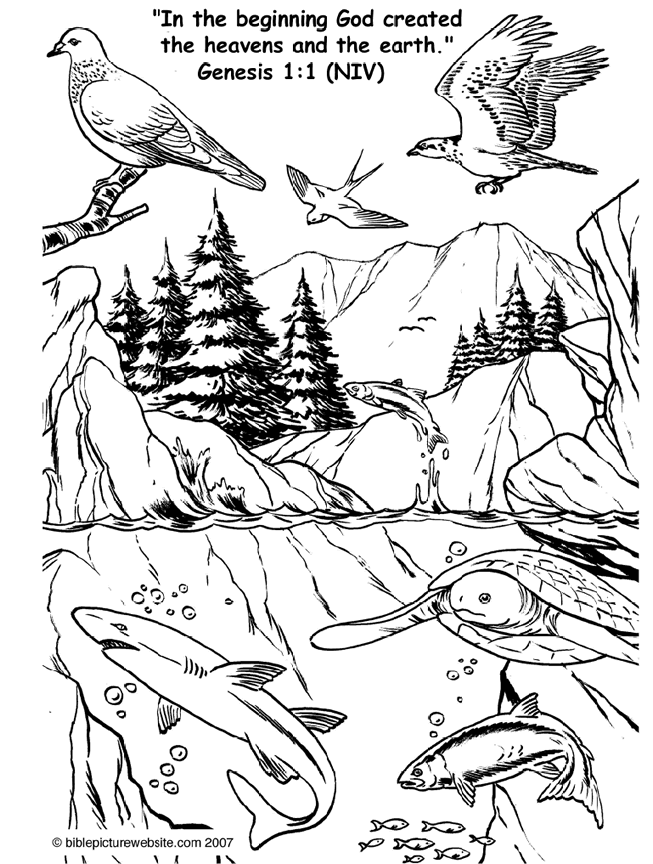 Creation: In the Beginning