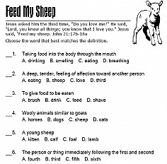 Feed My Sheep