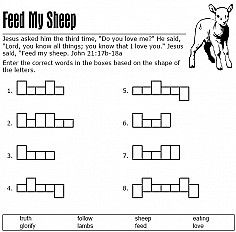 Feed My Sheep