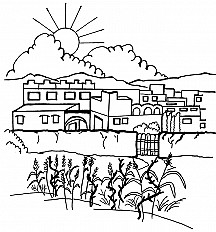 Parábola de la hierba mala