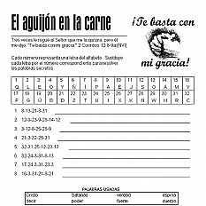 El aguijón en la carne