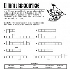 El maná y las codornices