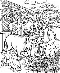 Jesus Needs a Donkey