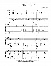 Little Lamb