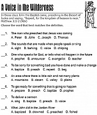 Voice In The Wilderness