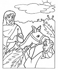 The Triumphal Entry (2)
