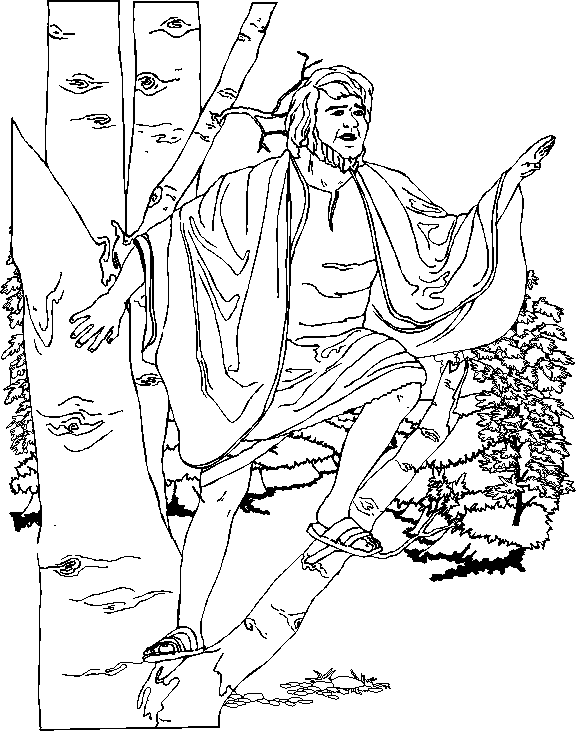 Zacchaeus, the Tax Collector