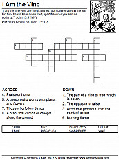 Branches On The Tree