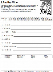 Branches On The Tree