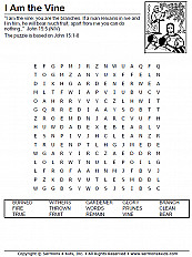 Branches On The Tree