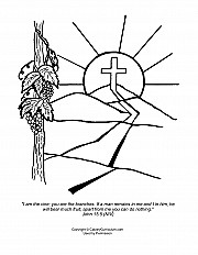 Vine And The Branches