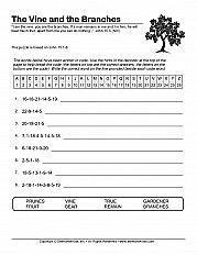 Vine And The Branches