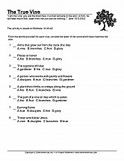 Vine And The Branches