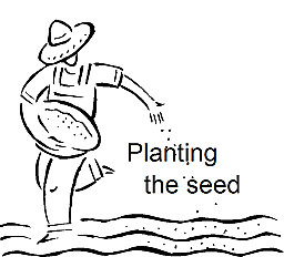 Planting Seeds