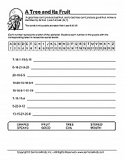 A Tree And Its Fruit