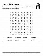 Salt Of The Earth Esp