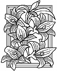 Lilies Of The Field Esp