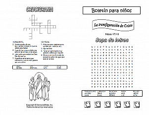 Transfiguration Matt Esp