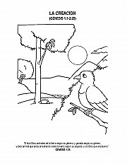 Creación: Y Todo Fue Bueno