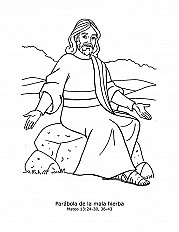 Parable Of The Weeds Esp